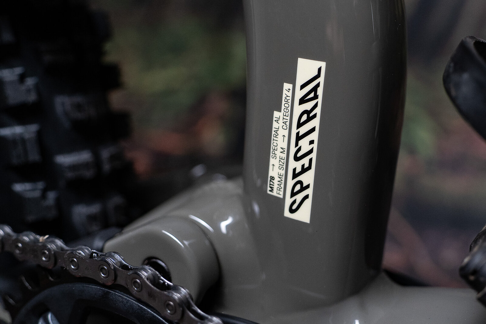 Bike Review | Canyon Spectral AL 6 | Freehub Magazine